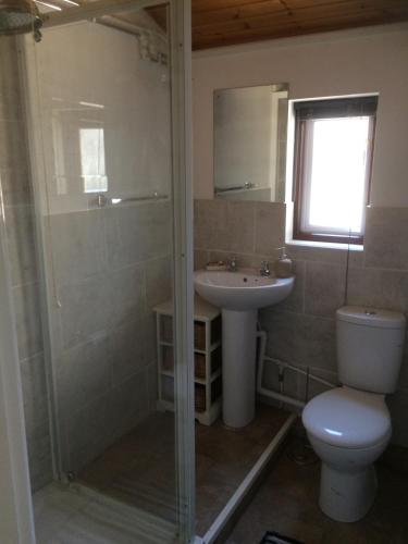 uma casa de banho com um chuveiro, um WC e um lavatório. em Hockham em Kings Lynn