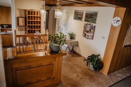 a room with two potted plants and a counter at Feldgärtenhof in Silandro