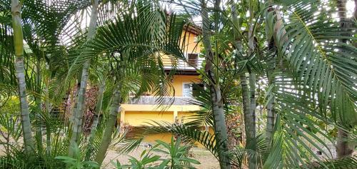Un jardín fuera de Kaye Mango