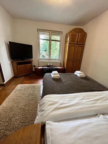 a bedroom with a large bed and a flat screen tv at Pensiunea Lorena in Bran