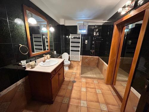 a bathroom with a sink and a shower and a toilet at Pensiunea Lorena in Bran