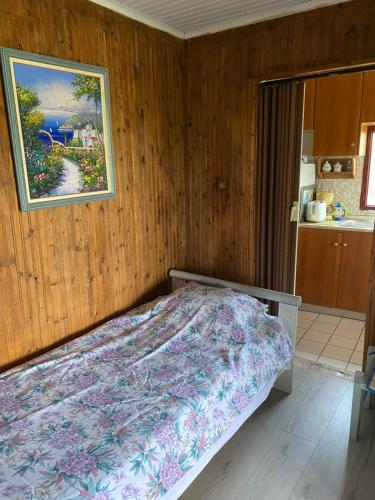 een slaapkamer met een bed en een schilderij aan de muur bij Real Holidays Antoniadou - Rustic House in Elaiokhórion