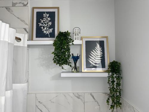 two framed pictures on a white wall with plants at Modern Loft in East Rockaway