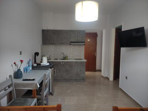 Kuchyňa alebo kuchynka v ubytovaní VASO'S APARTMENTS