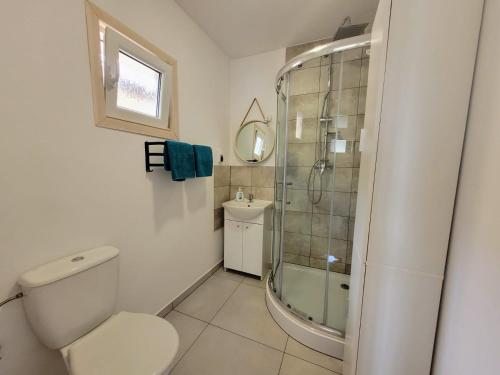 a bathroom with a shower and a toilet and a sink at Pastelowe Borne in Borne Sulinowo