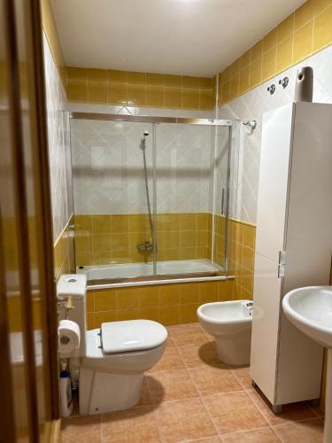 a bathroom with a toilet and a shower and a sink at Ático de Carmen in Cee