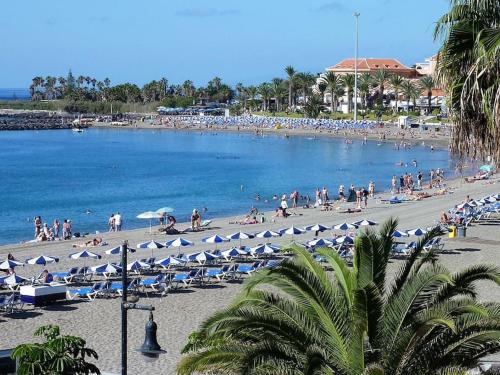 estudio Los Cristianos-Tenerife-