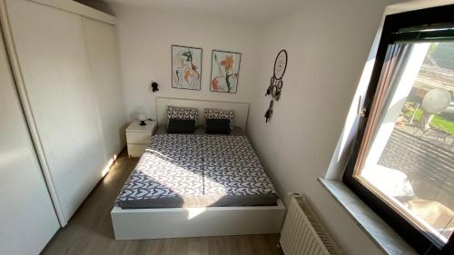 a bedroom with a bed in a room with a window at Apartma Nomad in Novo Mesto