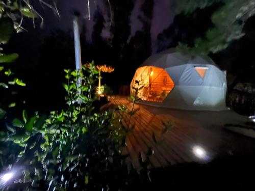 igloo illuminato in un giardino di notte di OASIS PICHILEMU DOMO a Rinconada El Sauce