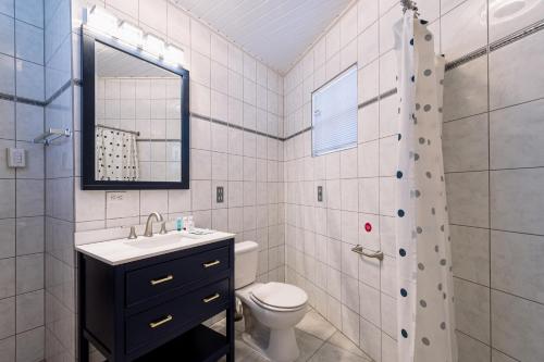 a bathroom with a toilet and a sink and a shower at Irenestraat 23 in Oranjestad