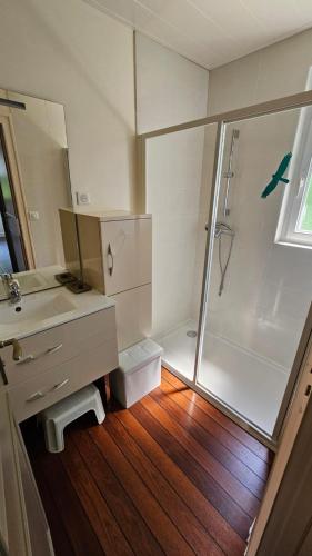 une salle de bain avec une douche, un lavabo et un miroir dans l'établissement Villa La Moraine, à Thonon-les-Bains
