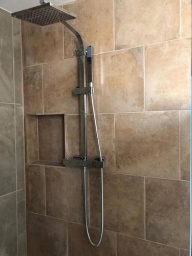 a shower with a shower head in a bathroom at Ferienhaus im Haus der Künste in Rhodt unter Rietburg