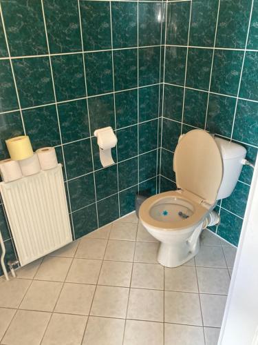 baño con aseo y paredes de azulejos verdes en ubytování u Hradu, en Nové Hrady