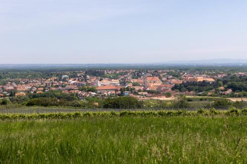 a view of a city from a field of grass at Penzion Alenka Valtice in Valtice