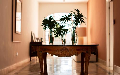 una tavola con tre piante sopra di ConSentido Tamarindo a Mérida