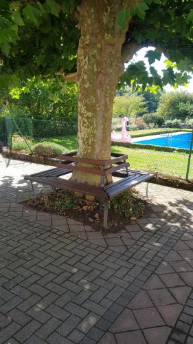 una mesa de picnic alrededor de un árbol en un parque en Tor zur Teufelsschlucht, 