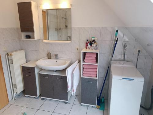 a bathroom with a sink and a washing machine at Ferienwohnung Almdorf in Almdorf