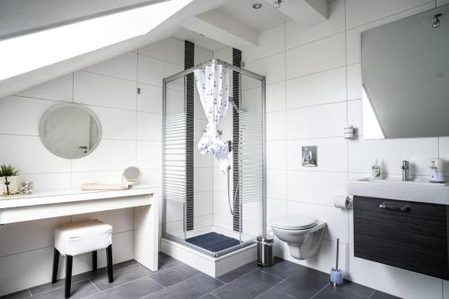 La salle de bains est pourvue d'une douche, de toilettes et d'un lavabo. dans l'établissement DachtRaum Waldner, à Wurtzbourg