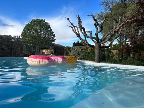 a swimming pool with two inflatables in the water at Gîte l'Ouvèze in Roaix