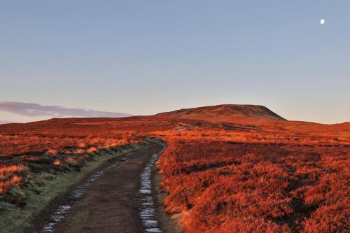 a dirt road in a field with a mountain at Wensleydale Halls in Leyburn