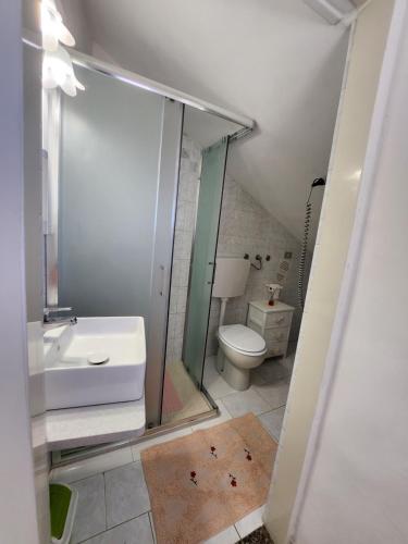 uma casa de banho com um chuveiro, um lavatório e um WC. em Villa il Dolce Tramonto em Furore