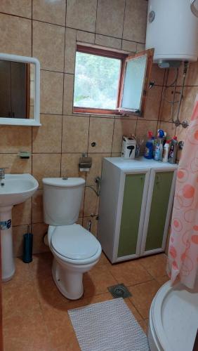 ヴィルパザルにあるGuest House Vodicaのトイレと洗面台付きのバスルーム