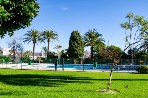 drzewo w parku z basenem w obiekcie Mar del Sur Bonito w mieście Benalmádena