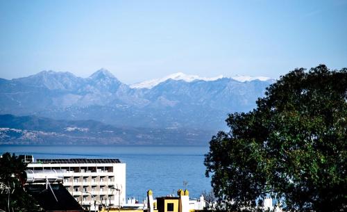 Mar del Sur Bonito photo 17