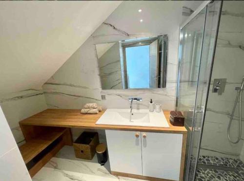 een badkamer met een wastafel en een douche bij Les Mimosas in Mandelieu-la-Napoule