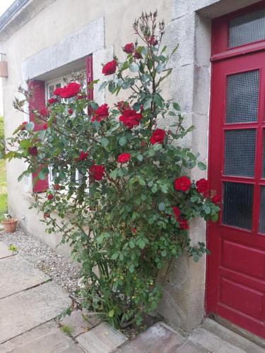 un arbusto de rosas rojas delante de una puerta roja en Hameau de Leignoua, en Le Saint