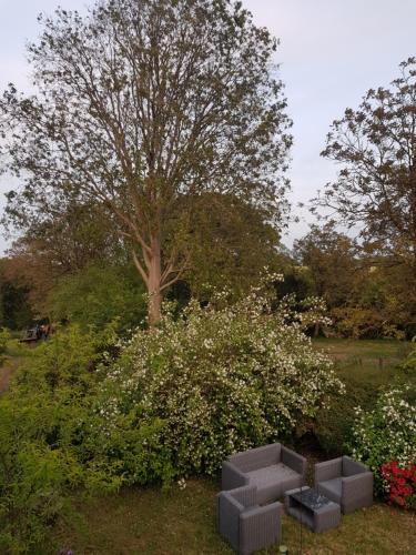 un árbol y un banco en un campo con flores en Hameau de Leignoua, en Le Saint