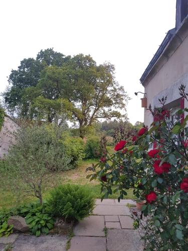 un jardín con rosas rojas y un edificio en Hameau de Leignoua, en Le Saint