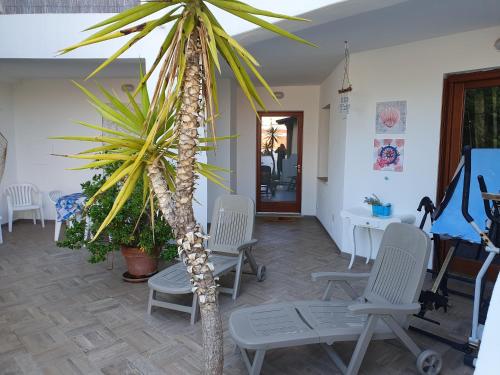 a palm tree in the middle of a room with chairs at Casa vacanza in riva al mare in Arzachena