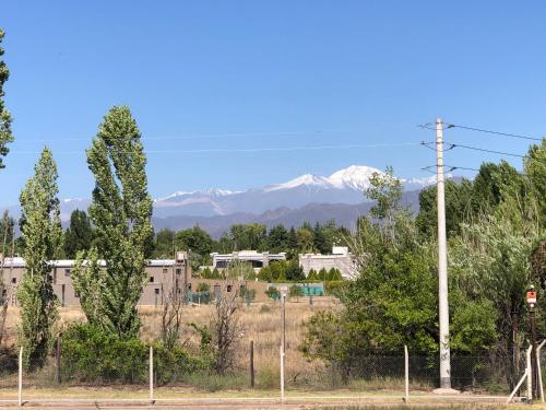 vistas a las montañas nevadas a lo lejos en MENDOZA - CHACRAS DE CORIA - Bodegas, Viñedos, Valles en Mendoza