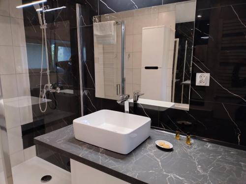 ein Badezimmer mit einem weißen Waschbecken auf einer Ablage in der Unterkunft Tabago Studio 8 in Oppeln