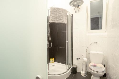 uma casa de banho com um chuveiro, um WC e um lavatório. em Bella Mia - Entire Apartment near Liszt Ferenc Ter em Budapeste