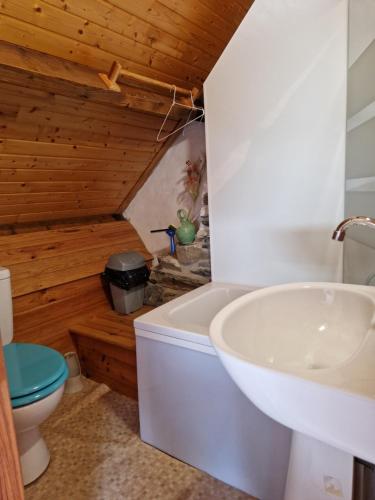 une salle de bain avec une baignoire, un lavabo et des toilettes dans l'établissement Gite rustique en Centre Bretagne, à Laniscat
