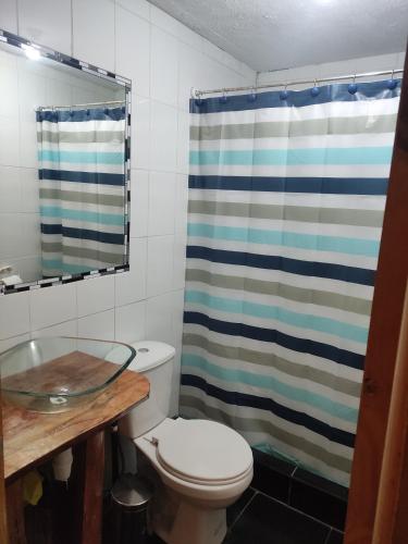 a bathroom with a toilet and a shower curtain at Cabañas buchupureo in Buchupureo