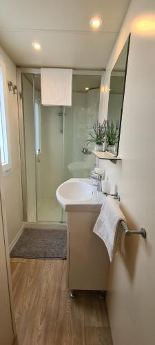 W łazience znajduje się umywalka, prysznic i lustro. w obiekcie Mobile Home Shelbox w Biogradzie na Moru