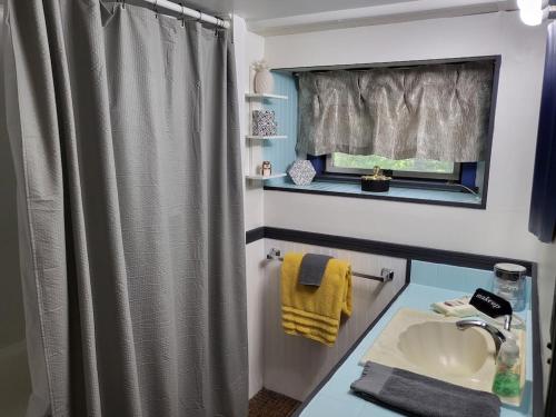 baño con lavabo y cortina de ducha en Legend Rock Lodge, en South Kingstown