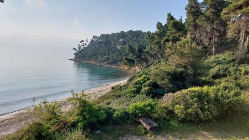 a view of a beach with trees and the ocean at Oasis in Kallithea Halkidikis