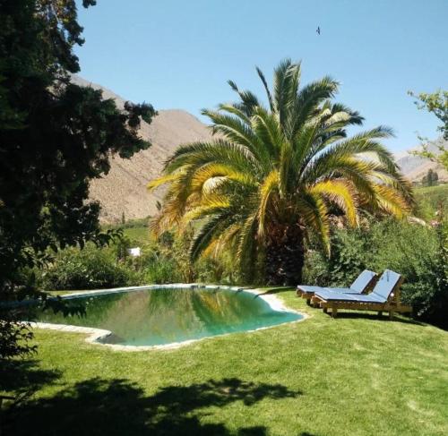Alcoguaz的住宿－CASAS AMANCAY - Alcohuaz，棕榈树和一个带长凳及棕榈树的游泳池