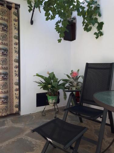 a room with a table and a chair and a plant at La Posada Amena in Carcabuey