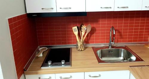 eine Küchentheke mit einer Spüle und roten Fliesen in der Unterkunft Nevila's apartment in Tirana
