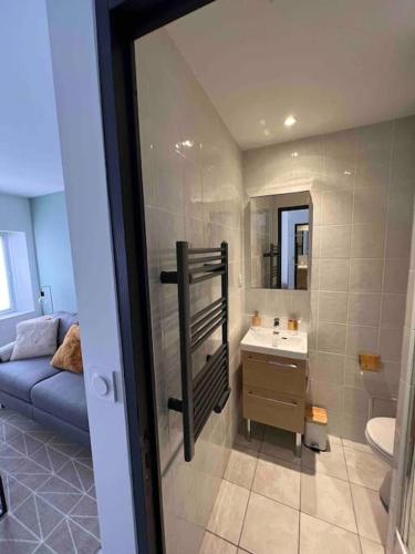 une salle de bain avec un lavabo, des toilettes et un miroir dans l'établissement Appartement climatisé en bord de mer, à La Ciotat