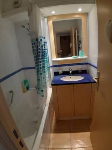 une salle de bain avec un lavabo, une douche et un miroir dans l'établissement Joli 2 pièces vue jardin 50m plage Parking Clim, à Menton