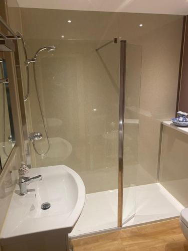 a bathroom with a shower and a sink at Otters End in Dilham