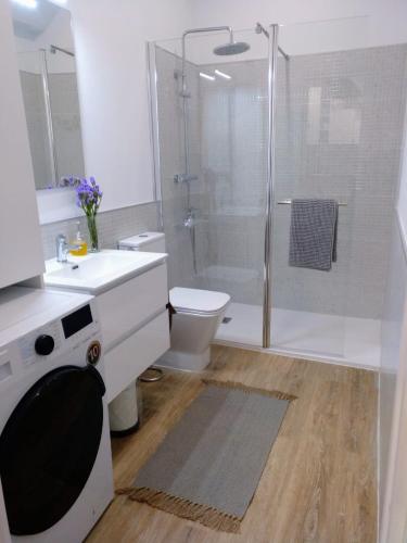 a bathroom with a shower and a toilet and a sink at Casa Rocha Velha con terraza y piscina particular in Santiago de Compostela