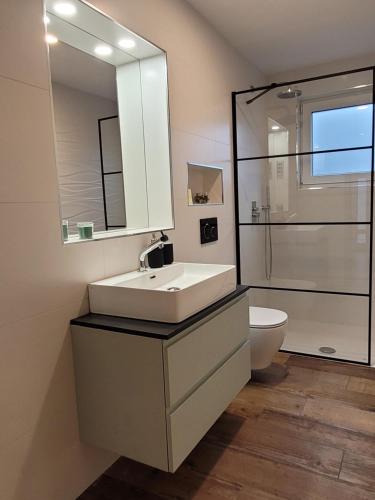 ein Badezimmer mit einem Waschbecken, einem WC und einem Spiegel in der Unterkunft Apartment river Nadiža Podbela in Podbela