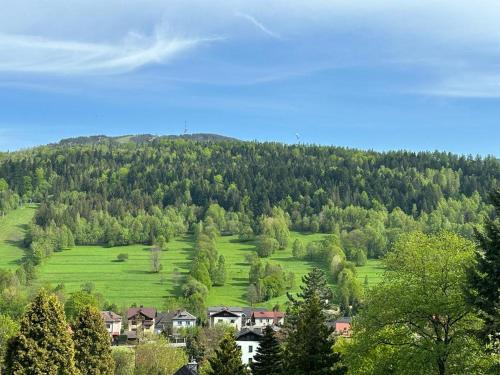 a large green hill with houses and trees on it at REST4U APARTAMENTY z SAUNAMI in Szczyrk